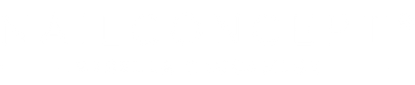 NailConcept logo